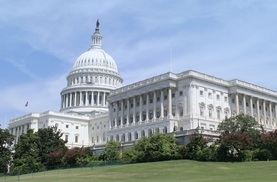 Washington DC Capitol Dome